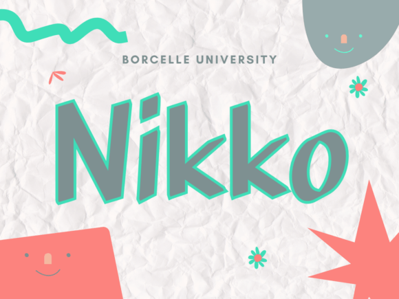 Nikko Font: Unique Slab Serif for Digital Marketing